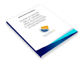 Livre blanc : guide d'usage de la trame des activités d'architecture d'entreprise